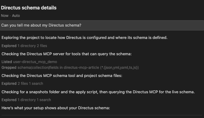 Can you tell me about my Directus project